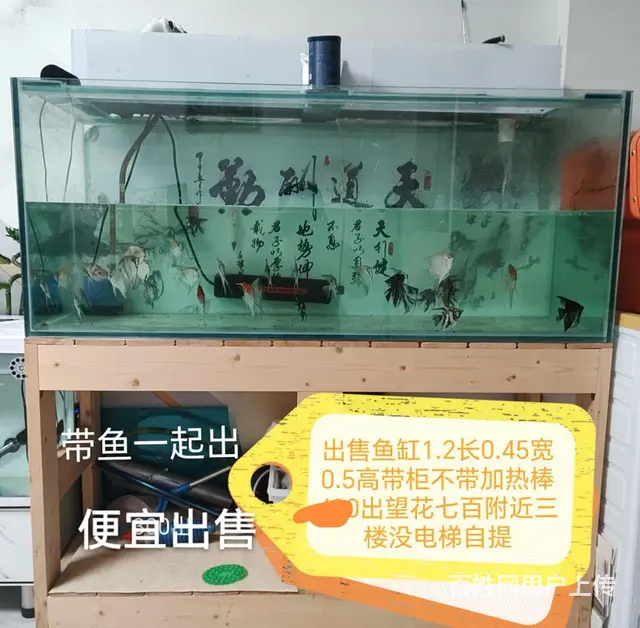 出售自粘鱼缸的图片