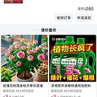 黄绿金丝鹦鹉