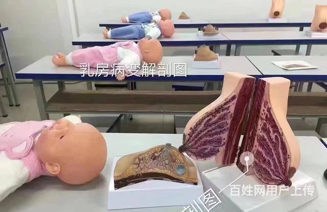 常州催乳师培训多少钱，催乳师的工作好找吗的图片