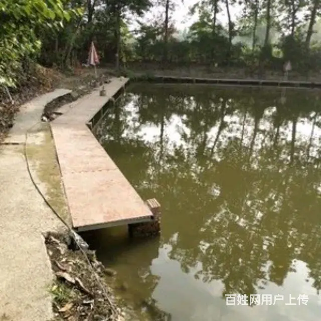 鱼塘出租的图片
