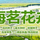 绵阳哪里有卖黑麦草草籽厂家