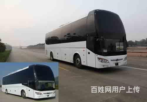毕节大方县宠物托运（猫狗）活体宠物邮寄快递（2022宠物运输的图片