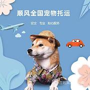 今日/推荐) 扶沟县出发到全国宠物托运/猫狗全程专人看护