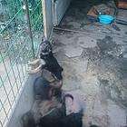 【搞定了！】非诚勿扰