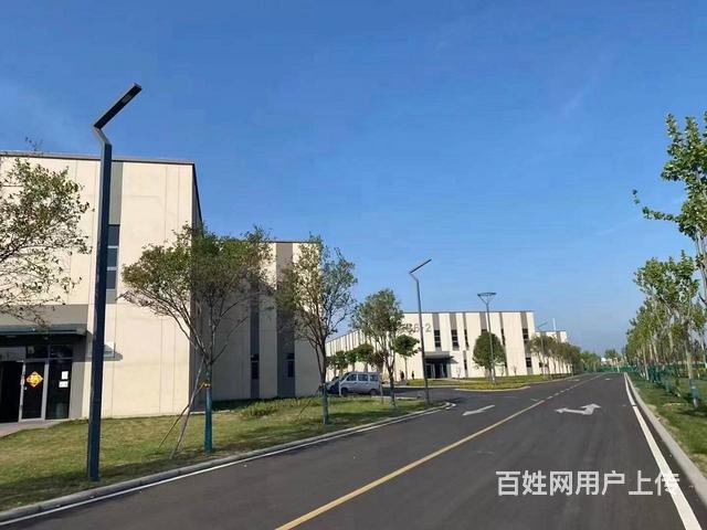 出售洛龙区2+1层综合性厂房的图片