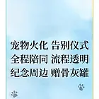 珠海家庭宠物去世处理,珠海本地宠物殡仪馆电话