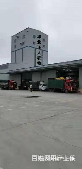 湘阴牛羊预混料厂家电话的图片