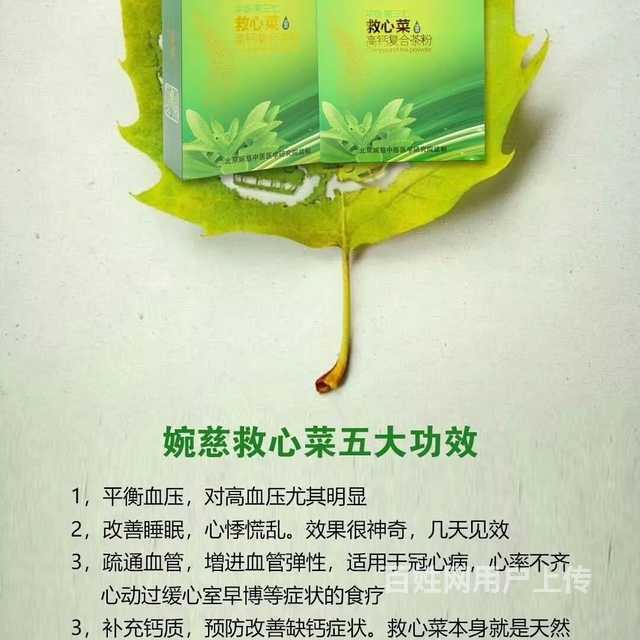 婉慈救心菜有哪些功效?真的可以调理三高吗?