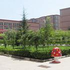 保定学技术到虎振计算机性价比出众