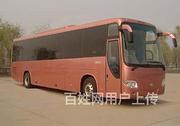 2020南平市宠物托运*南平市活体运输到达全国市县