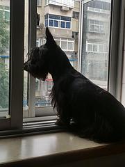 出售