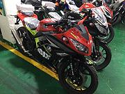 厂家直销两轮摩托车、小猴子、北极光、小怪兽、太子车