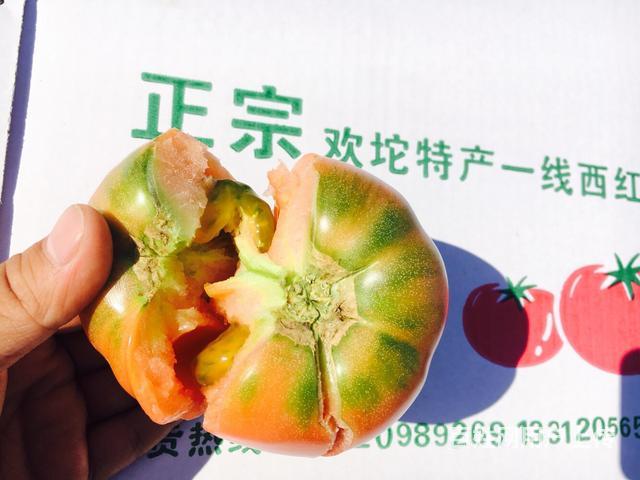 【图】- 欢坨一线西红柿 酸甜可口 自家种的 - 天津农