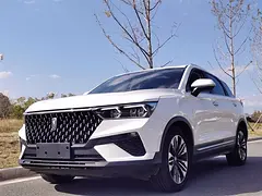 奔腾T77 2019款 1.2TID 双离合 230TID