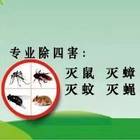 专业四害消杀除蟑螂除蚂蚁除老鼠除百虫 根除干净