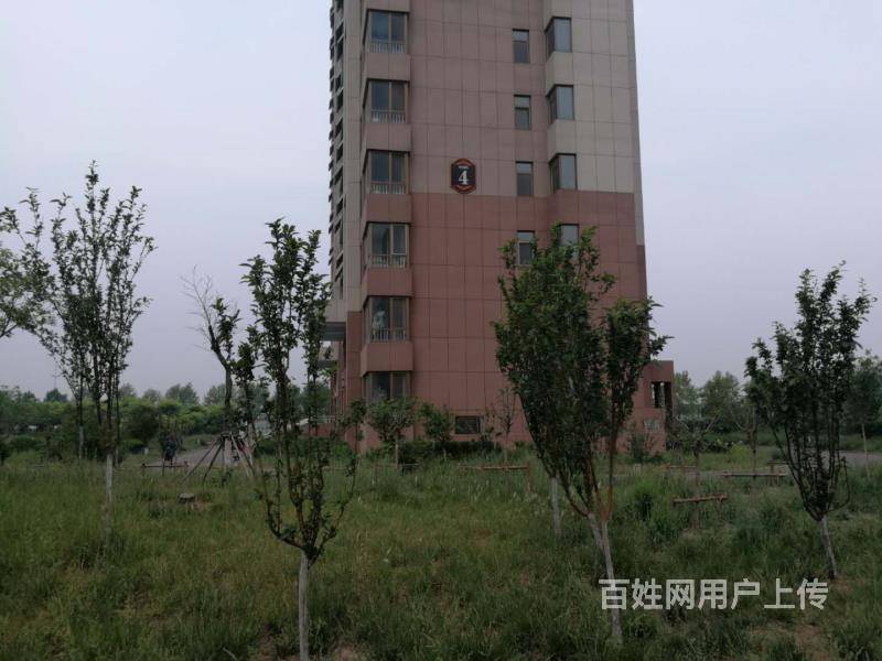 【图 韵和嘉苑 普通住宅2厅 精装修 滨州滨城租房/出租 滨州