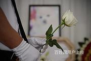 南通十年宠物殡葬服务老店,南通有没有专业的宠物火化公司,