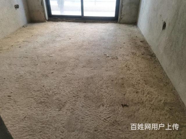 观望一次涨一次，朋友，是不是还要重复昨天的故事！！的图片