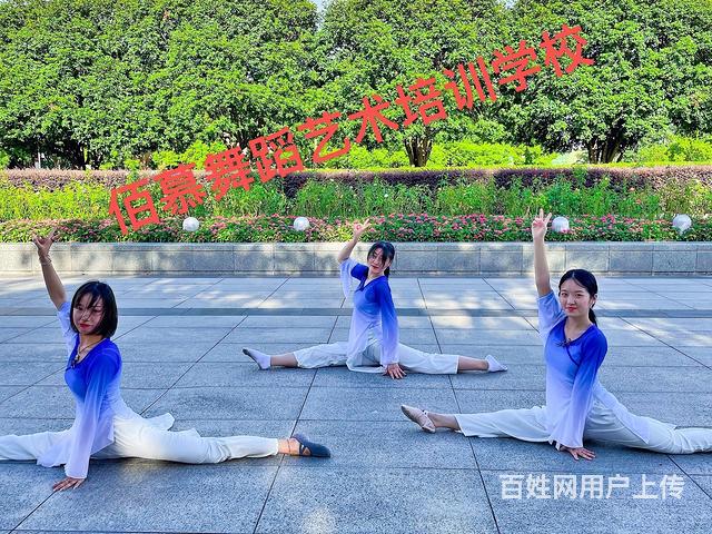 黔西南哪里学爵士舞专业哪里有成人舞蹈可以学哪里有专业的舞蹈培的图片