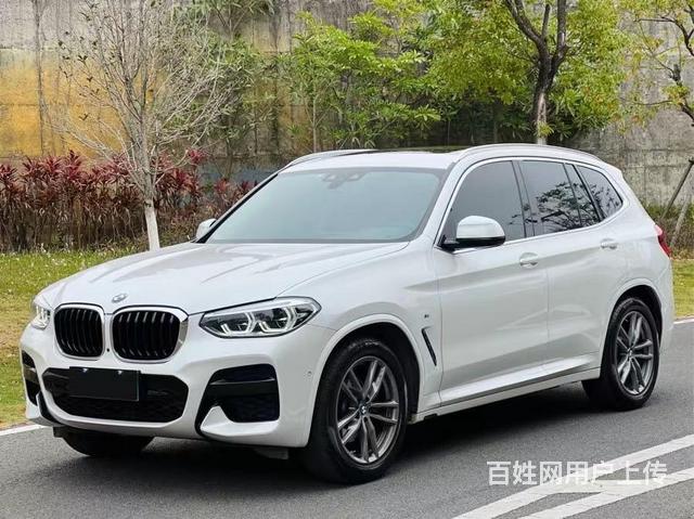 宝马X3 2019款 X3 xDrive28i 2.0T 手的图片