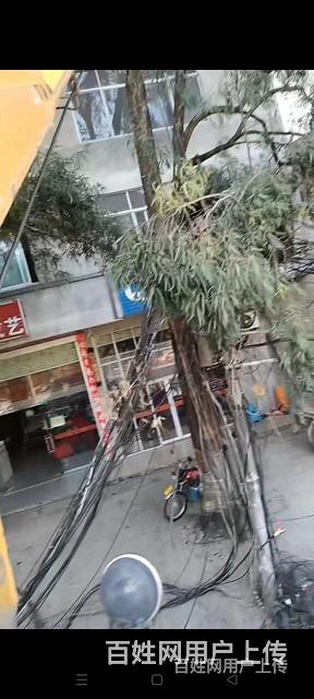 中卫海原叉车出租电话自动升降机，租赁高空作业，升降机租赁，升的图片
