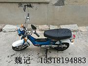 金城70经典款