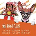 天水宠物托运专业活体物流猫狗长途邮寄快递