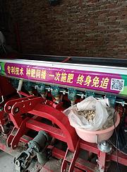 中国洛阳6o4