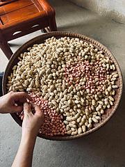 妈妈自家种的花生吃不完少量出售。全市免费送货上门。