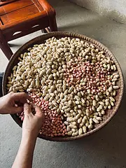 妈妈自家种的花生吃不完少量出售。全市免费送货上门。