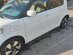 欧拉 白猫 2020款 360km 标准型