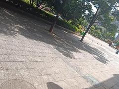 嘉禾县新城区临街商铺出租
