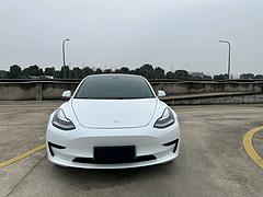 特斯拉Model 3 2020款 标准续航后驱升级版