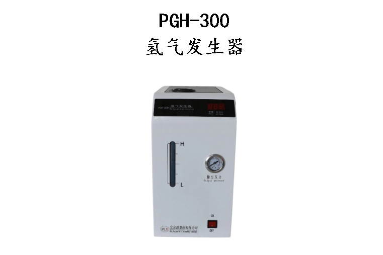 PGH300氢气发生