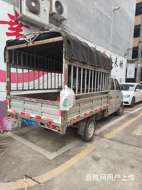 长安 新豹 其他 国5的图片