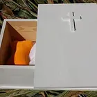 滕州24小时宠殡葬服务中,滕州宠物火化流程咨询