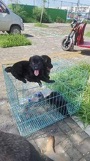 形象代表