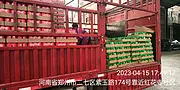一汽解放轻卡 其他 高栏/栏板 国6