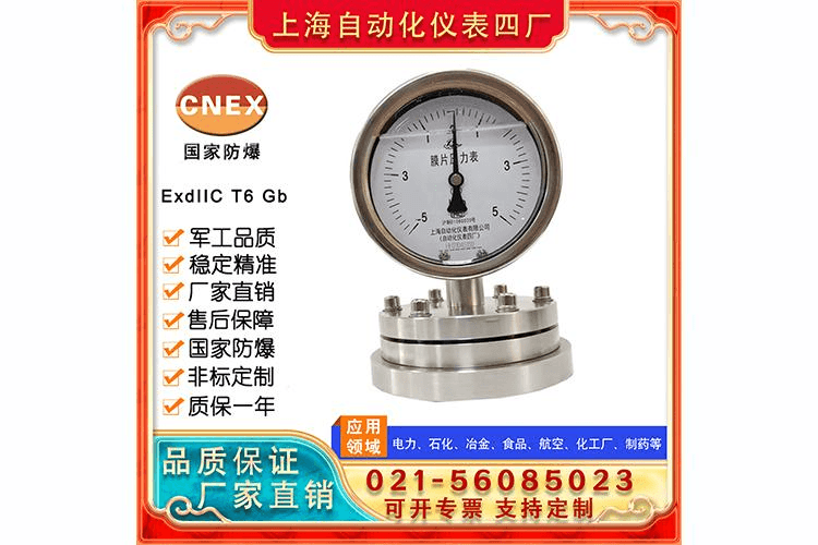 YPF100膜片压力表