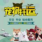 随县宠物托运{猫狗长途搬家}活体快速邮寄2024安全快捷全国