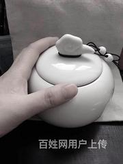 滁州宠物火化价格表，流程咨询,滁州哪里可以处理宠物遗体