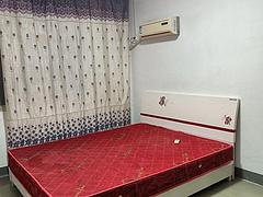 西平县镇中 南街小学  实小附近租房