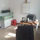 吉房出租