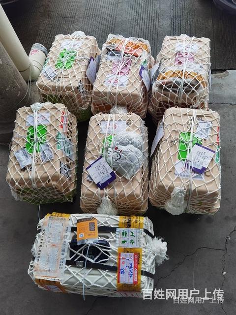 太原活体邮寄-宠物托运-门对门接送/安全高效今日推荐的图片