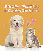 新消息（扶沟宠物托运{猫咪狗狗}活体快递邮寄率/今日/热点2