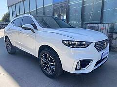 WEY VV5 2020款 1.5T 双离合 两驱颜先锋