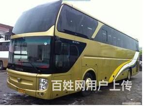 叶县宠物托运（猫狗）活体邮寄快递（2022宠物运输 ）今日推的图片