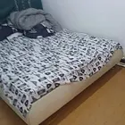 吉房出租