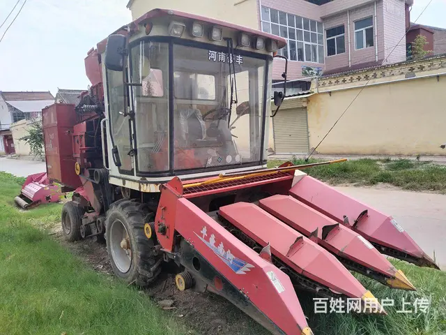 豪丰三行玉米收的图片