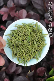 只产高品质好茶 小戴白茶 安吉白茶 黄金芽